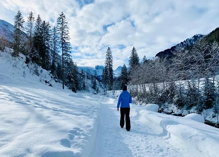 Hotel Valara Alpine Art 4*